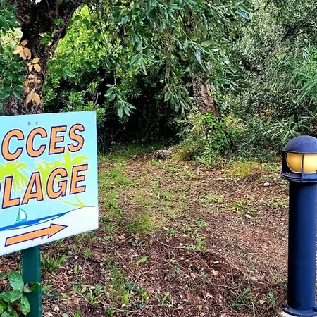 Bright With Pool In *