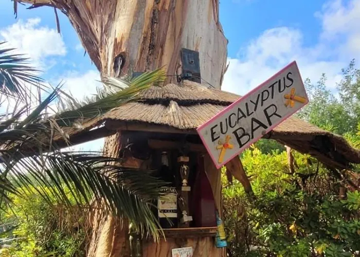 Bright With Pool In * غريمو