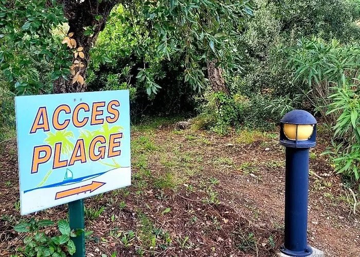 Bright With Pool In *